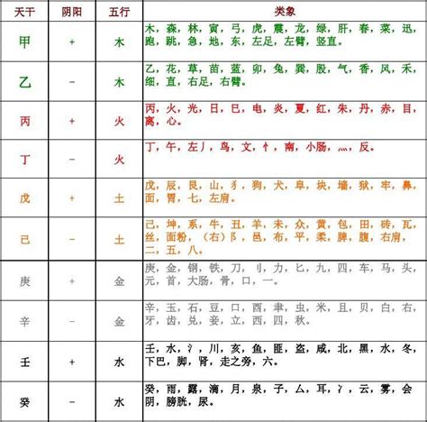 地支阴阳|十二地支类象详解 – 十二地支阴阳五行属性